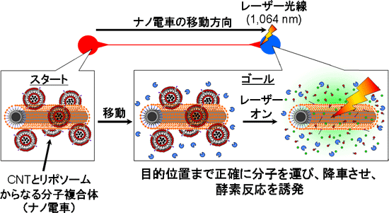 CNTとリポソームを複合したナノ電車による分子伝送システムの図