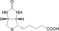 ビオチンの説明図