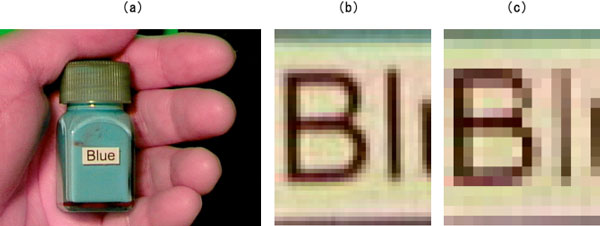 前回開発したカメラによる撮影範囲を示した画像とその一部の拡大画像