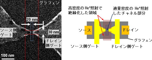 試作した素子のヘリウムイオン顕微鏡像写真と模式図