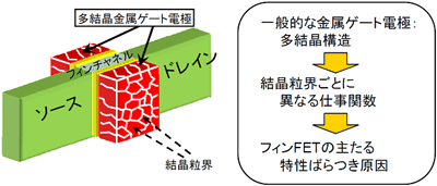 フィンFETのしきい値ばらつきの主な要因の図