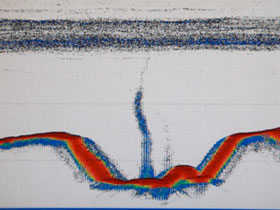海底火山のカルデラで確認されたプルームの魚群探知機による記録図