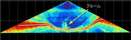 音響測深機でとらえたカルデラ底から立ち昇るプルームの図