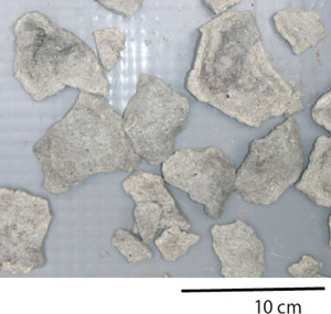 カルデラから採取されたチムニーの破片と考えられる試料の写真