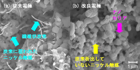 従来電極と改良電極のブタン燃料を用いた発電後のSEM写真