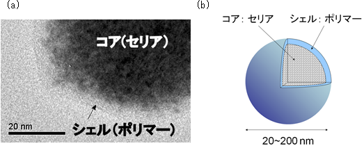 コアシェル型セリアナノ粒子の(a)透過型電子顕微鏡写真と(b)イメージ図