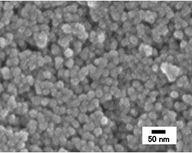 粒径約22 nmのコアシェル型セリアナノ粒子の走査型電子顕微鏡写真