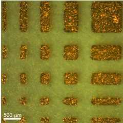 PETフィルム上に作製した金めっき微細パターンの画像