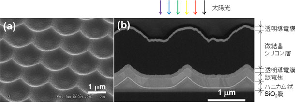 ハニカムテクスチャ構造表面形状写真とハニカムテクスチャ構造を用いた薄膜微結晶シリコン太陽電池の断面図