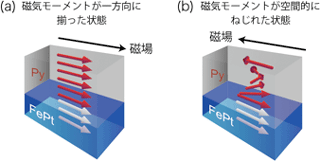 FePtとパーマロイを積層化させた薄膜試料における磁気モーメントの模式図