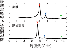 実験および数値計算より得られた磁気共鳴のスペクトル図