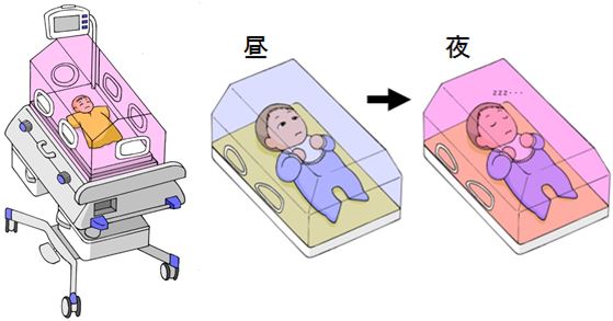 図２　調光型光フィルターを利用した保育器の概要