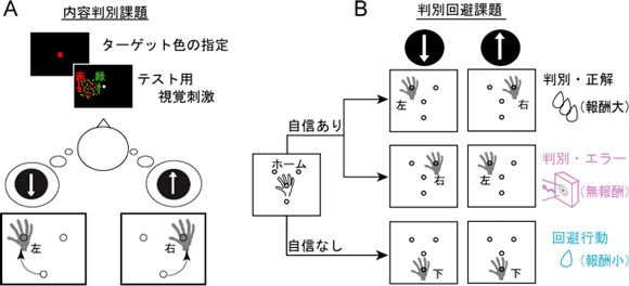 ２種類の行動課題図