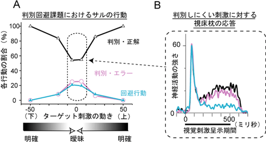 判別回避課題における行動パターンと視床枕の活動の図