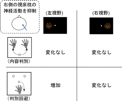 視床枕が機能している課題と条件の図