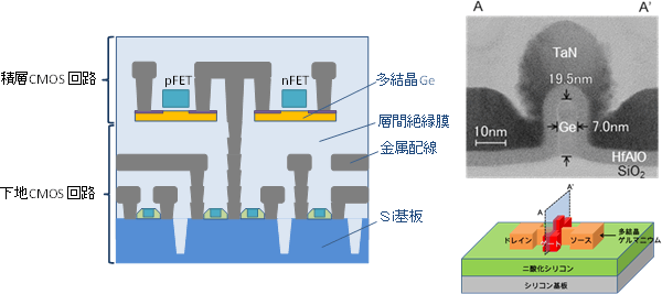 積層集積回路の概念図(左)と、試作した素子の断面構造(右)の図