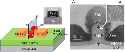 試作したGeトランジスタの概念図と断面の透過電子顕微鏡像