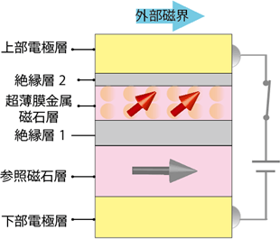 今回の研究で用いた素子構造模式図