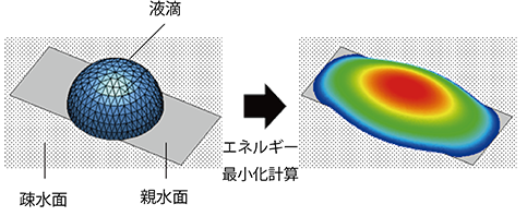 初期形状（左）とエネルギー最小化計算後の形状図