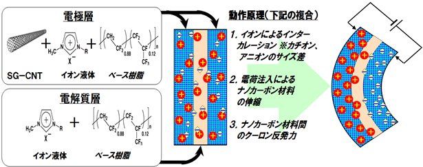 ナノカーボン高分子アクチュエーターの構成とその駆動原理の図解