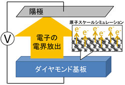 ダイヤモンド基板と陽極の間の電界印加でダイヤモンド表面から電子を放出する回路構成の図