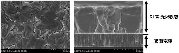 走査型電子顕微鏡により撮影したCIGS光吸収層表面像（左）とCIGS光吸収層/モリブデン裏面電極 断面像（右）の図
