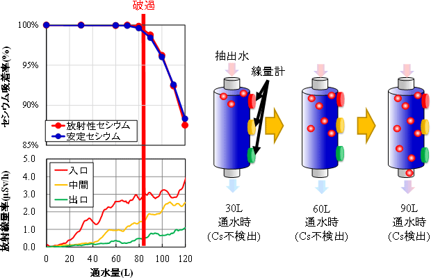 放射性セシウム吸着率とカラム表面での空間線量率と通水時の放射性セシウム吸着イメージ図
