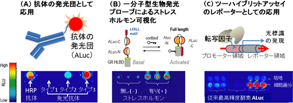 今回開発した装置による計測結果の図