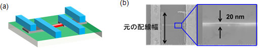 20 nm幅グラフェン配線の模式図と20 nm幅グラフェン配線のSEM像