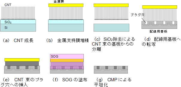 CNT配線作製の流れの図