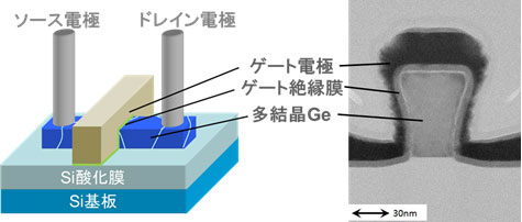 作製したフィン型トランジスタの構造概念図と、断面透過電子顕微鏡像