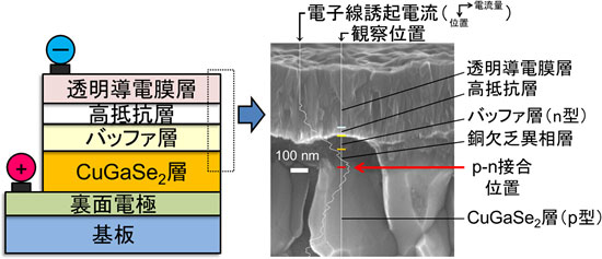 電子線誘起電流法によるCuGaSe2太陽電池のp-n接合の観察図