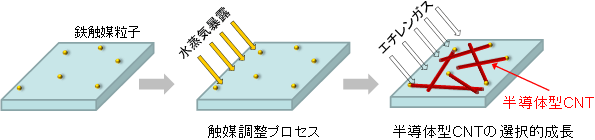 開発した半導体型単層CNTの選択的合成プロセスの図