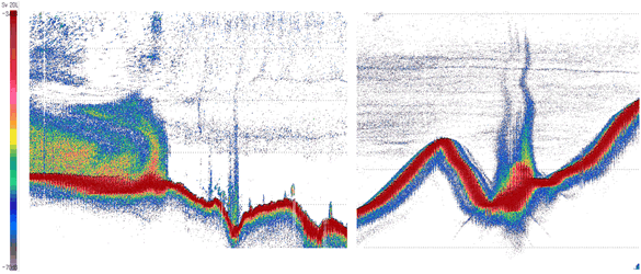 計量魚群探知機で観測されたプルーム状の音響異常の図