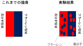 従来考えられていた接合状態（左）と本研究結果でわかった分子混合による構造図（右）