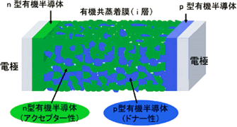 バルクヘテロジャンクション型有機太陽電池模式図