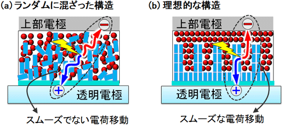 有機薄膜太陽電池の発電層の従来のランダムな構造と理想的な構造図