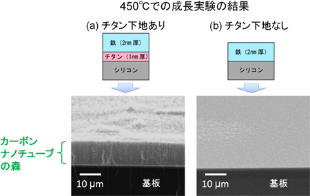 SPring-8でのカーボンナノチューブの“森”の成長実験の結果の図