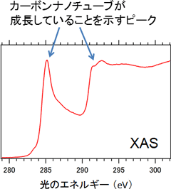 カーボンナノチューブの“森”（図6(a)）のXAS分析の結果の図