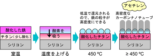 解明された、STEP法によるカーボンナノチューブの“森”の高密度化の仕組みの図