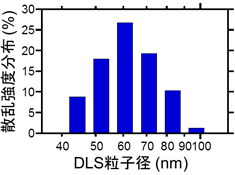 動的光散乱法（DLS）により測定された粒子径の分布図