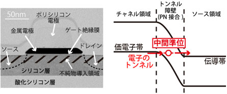 今回開発したシリコントンネルFETの断面透過電子顕微鏡像（左）と今回の技術のコンセプト図（右）の画像