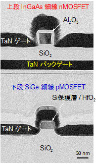 InGaAs-nMOSFET/SiGe-pMOSFET 3次元積層CMOSの断面電子顕微鏡像の写真