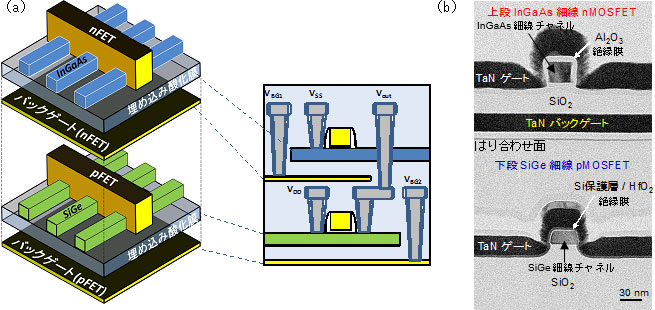 InGaAsとSiGeを用いた3次元積層CMOSの模式図（a）と試作したデバイスの断面図（b）の画像