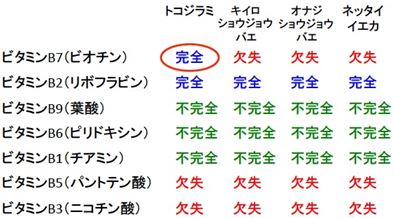 各種ボルバキアゲノムにおけるビタミンB群の合成経路の有無の表