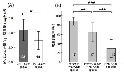 トコジラミのボルバキアによるビタミンB7の合成・供給機能の解析の図