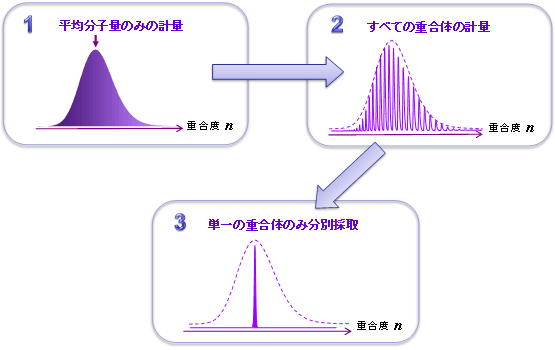 単一な重合度を持つ高分子標準物質ができる過程模式図