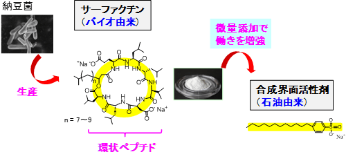 サーファクチン（左）と合成界面活性剤（右）の図