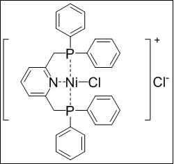 今回開発したニッケル錯体触媒の一例の図