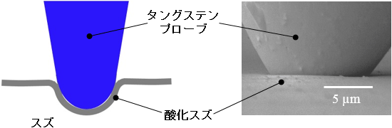 酸化スズを成膜したスズ基板にプローブを押し当てる操作の概念図（左）と走査型電子顕微鏡写真（右）の画像